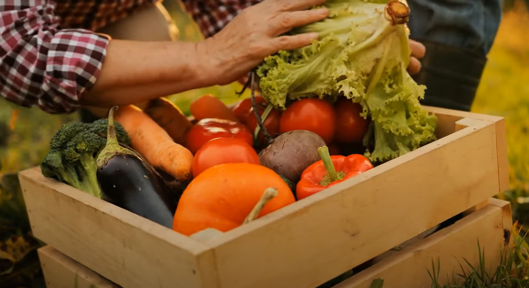 Régime Paléo : des aliments naturels, non industrialisés, compatibles avec le Crossfit ?